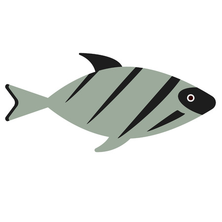 fish flat illustration on white. Marine and underwater world series.のイラスト素材