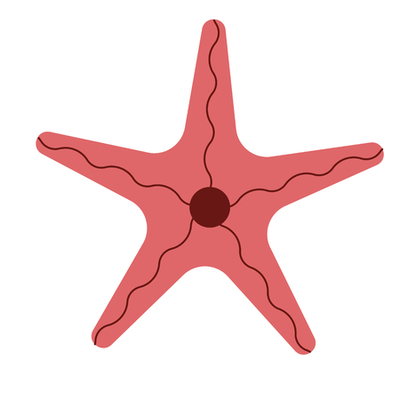 starfish flat illustration on whiteのイラスト素材