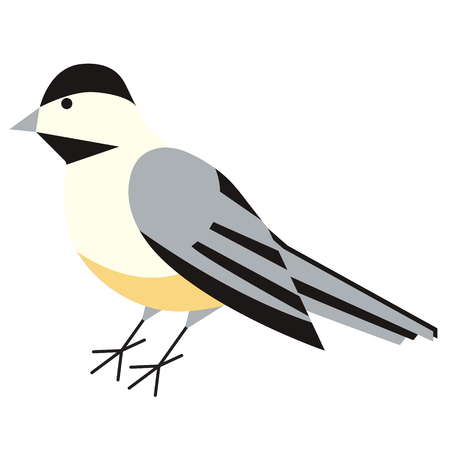 tit bird flat illustration on white. Animals and wild life series.のイラスト素材