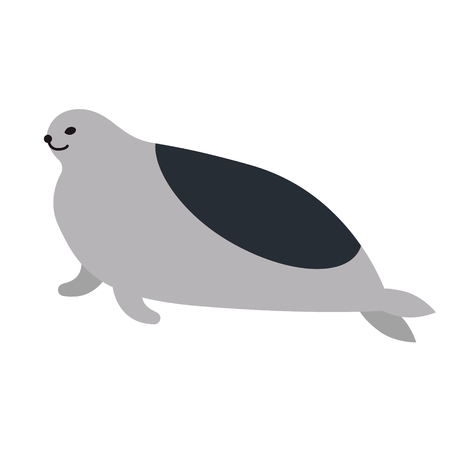grey seal flat illustration on white. Animals and wild life series.のイラスト素材