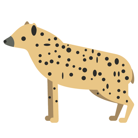 hyena flat illustration on white. Animals and wild life series.のイラスト素材