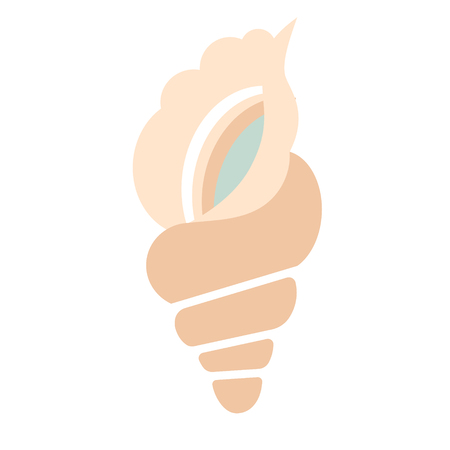conch shell flat illustration on whiteのイラスト素材