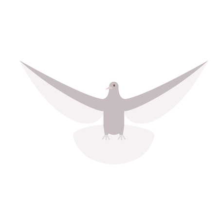 Dove flat illustration on whiteのイラスト素材