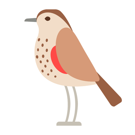 brown forest bird flat illustration. Forest wild life animals series.のイラスト素材
