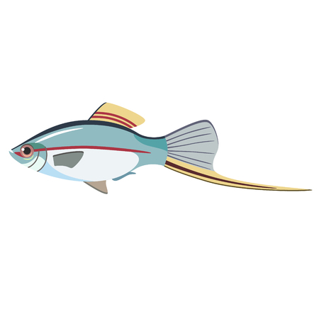 grey fish flat illustration. Marine and underwater series.のイラスト素材