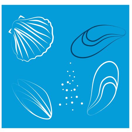 Blue seashells flat illustration designのイラスト素材