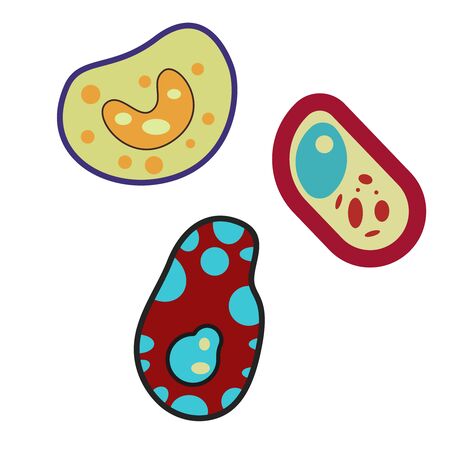 Bacteria flat illustration. Technology and everyday objects series.のイラスト素材