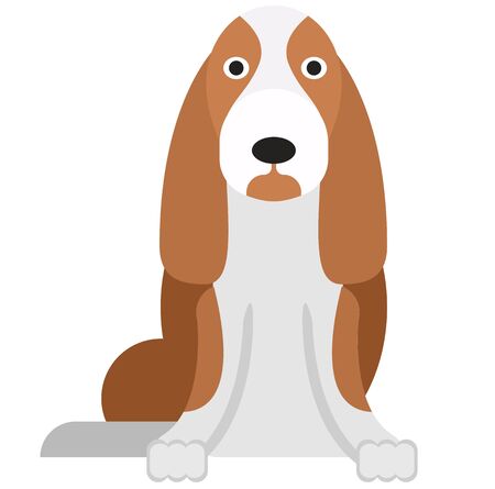basset , illustration on white background flat styleのイラスト素材