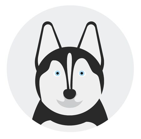 husky , illustration on white background flat styleのイラスト素材