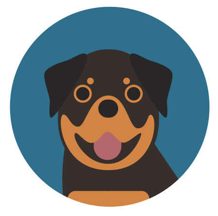 rottweiler , illustration on white background flat styleのイラスト素材