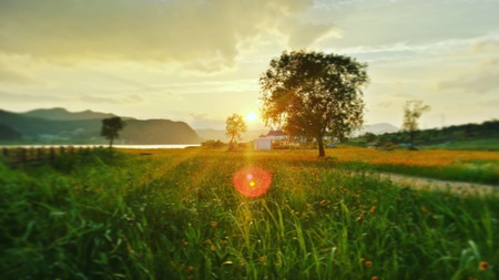 In the Han River,の写真素材