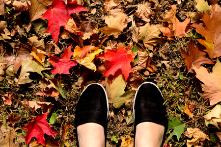 leaf feetの写真素材