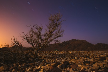 Magic night in Israel Negev desert. Stars shining brightの写真素材
