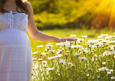 Pregnant woman is sitting on a bench in summer sunny day. Relax calm picture.の写真素材