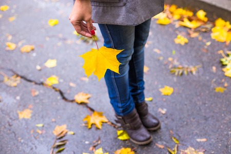 Fall life style picture concept. Autumn fallen leaves in park