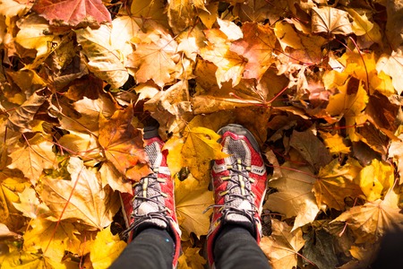 Legs with red sneackers are on autumn leaves. Sportman after runnig training.