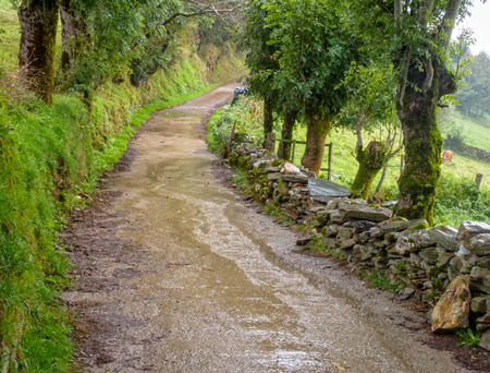 Muddy Camino track along wet dry-stone walls in the rain - Fonfria, Galicia, Spainの写真素材