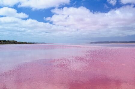 Incredible Pink Lake - Gregory, WA, Australiaの写真素材