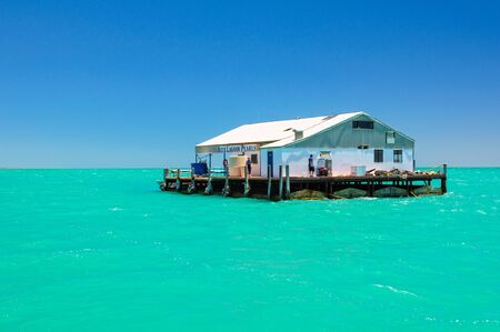 The floating pontoon of the Blue Lagoon Pearl shop - Monkey Mia, WA, Australiaのeditorial素材