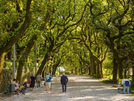 Young and elderly enjoy the beauty of the Alameda Park - Santiago de Compostela, Galicia, Spainのeditorial素材
