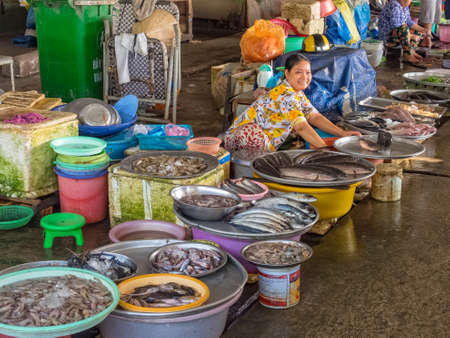 Smiling fish vendor on the market - Cho An Binh, Vietnamのeditorial素材