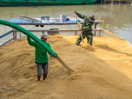 Two workers load rice on a boat in the Mekong River Delta - Phong Dien, Vietnamのeditorial素材