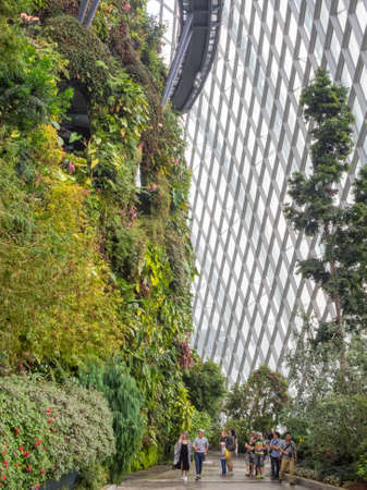 Tourists in the Cloud Forest glass house - Singaporeのeditorial素材