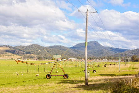 Grazing sheep and a centre pivot irrigation system - Scamander, Tasmania, Australiaの写真素材