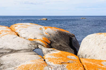 Orange lichen-covered granite boulders in Bay of Fires - The Gardens, Tasmania, Australiaの写真素材