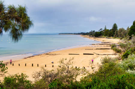 Remnants of old wooden sea groynes on the beach - Cowes, Victoria, Australiaのeditorial素材