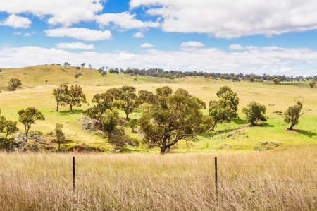 Pastures along the Ebor Falls Road - Dorrigo, NSW, Australiaの写真素材