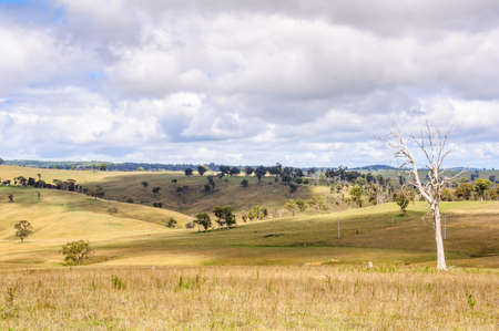 Pastures along the Ebor Falls Road - Dorrigo, NSW, Australiaの写真素材