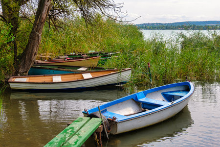 Boats moored behind the reeds on Lake Balaton - Tihany, Hungaryの写真素材