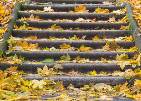 Stone steps covered by autumn leaves - Szentendre, Hungary