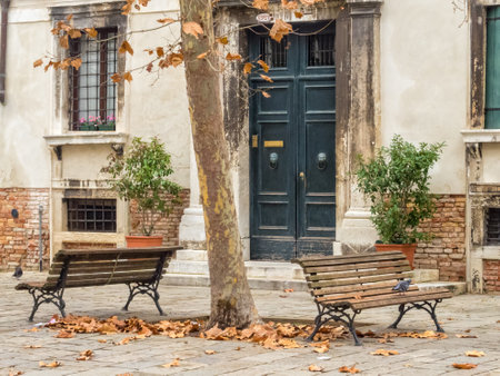 Fallen leaves and empty benches at Campo dei Gesuiti - Venice, Veneto, Italyの写真素材
