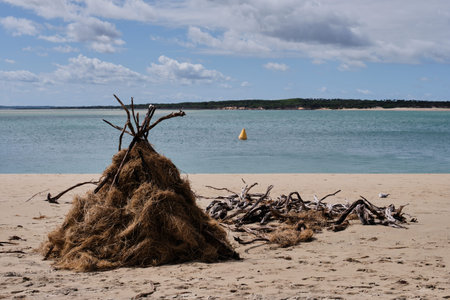 Makeshift driftwood shelter on Mains Beach - Inverloch, Victoria, Australia