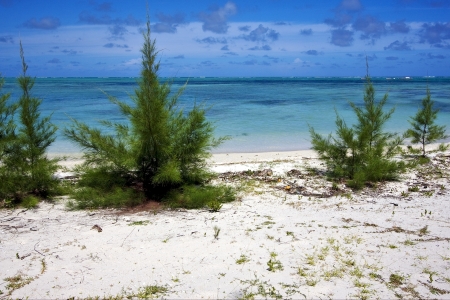 beach in mauritiusの写真素材