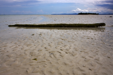 beach and sand  in nosy be  madagascar and lowtide