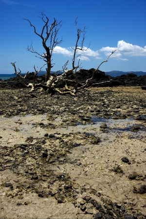 nosy be ,andilana beach , madagascar lagoon , coastline and sandの写真素材