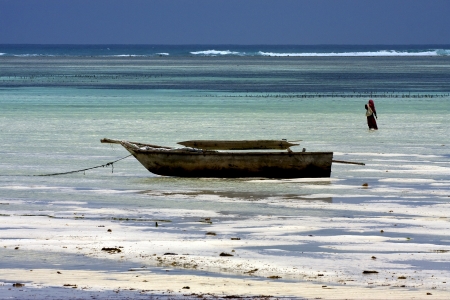 beach seaweed masai and boat in tanzania zanzibarの写真素材