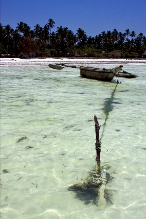 beach coastline and boat in tanzania zanzibarの写真素材