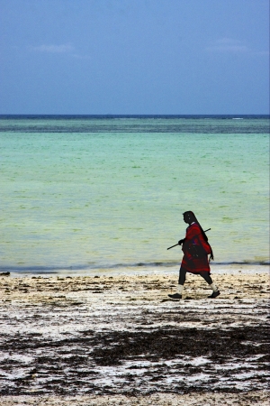 beach seaweed and masai  men in tanzania zanzibarの写真素材