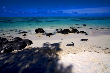 beach and  shadow in ile du cerfs mauritiusの写真素材
