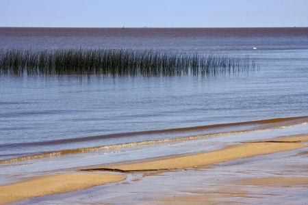 beach and grass in rio de la plata  colonia del sacramento  uruguayの写真素材