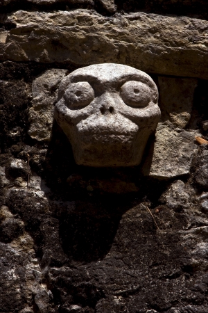 skull   mexico the  abstract incisionの写真素材