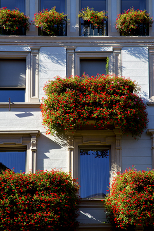 old wall and flower terrace in the   centre   of city lugano Switzerland Swissの写真素材
