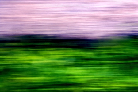  abstract macro close up abstract of a  green pink streetの写真素材