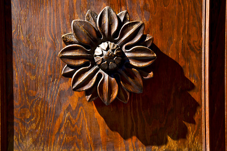 abstract flower brass brown knocker in a   closed wood door  castiglione olona varese italyの写真素材