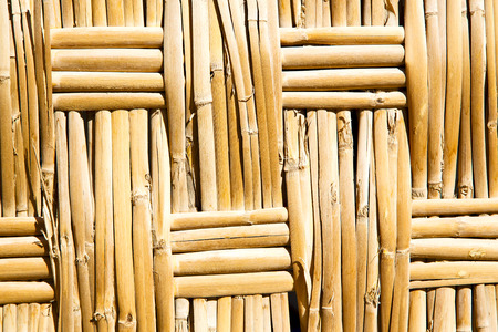 texture bamboo in morocco africa brown natural line closeupの写真素材