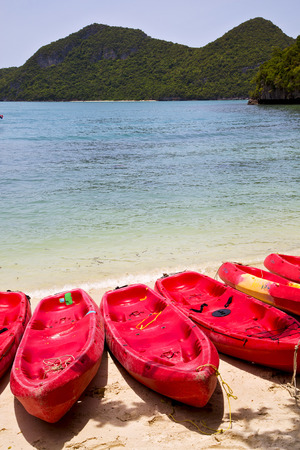 boat coastline of a green lagoon  and tree  south china sea thailand kho phangan  bayの写真素材
